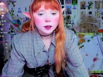 usagi-sasagi webcam model stream image