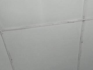 Thiago Belmont webcam model stream image