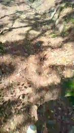 Etoile67moosa webcam model stream image