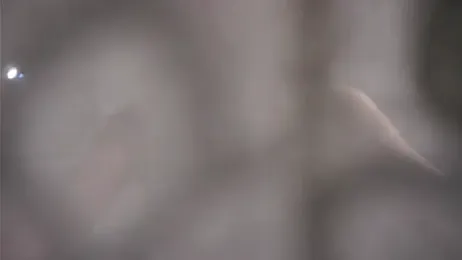 CaseyMulders webcam model stream image