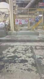 porcinoTN webcam model stream image