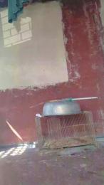 WildLady webcam model stream image