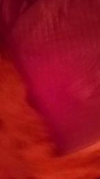 Lukignolo81 webcam model stream image