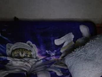 kylechat webcam chaturbate model stream image