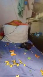 DrHuelsentrieb webcam model stream image