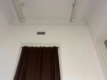 sn0wcat webcam model stream image