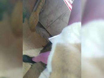 Evangelina2909rus webcam model stream image