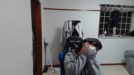 pychan webcam model stream image