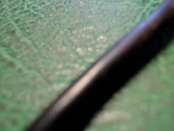 shyredstar webcam chaturbate model stream image