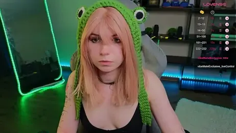 zelda_1 webcam model stream image