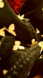 Nivea_82 webcam cam4 model stream image