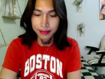 snow_2000 webcam model stream image