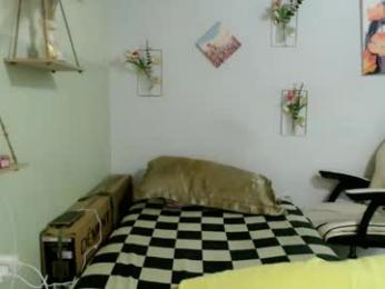 snow_2000 webcam model stream image