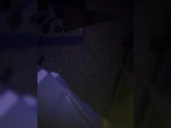 Kot-i-Koshkaa webcam model stream image