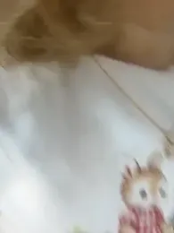 SweetBunnyGF webcam model stream image