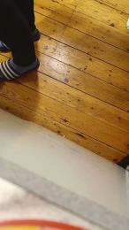 zoomerdk webcam model stream image