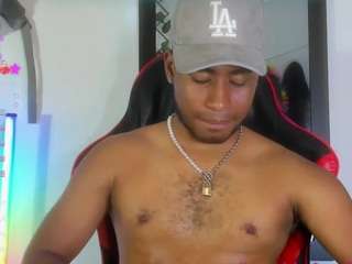 prince-gemini webcam model stream image