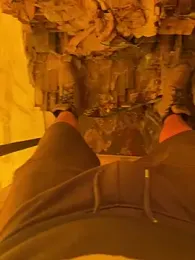 cussy007 webcam stripchat model stream image