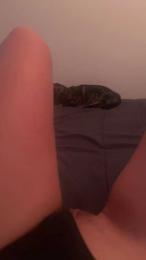 evaa3448 webcam model stream image