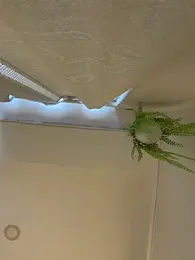 ZaraLuuv webcam model stream image