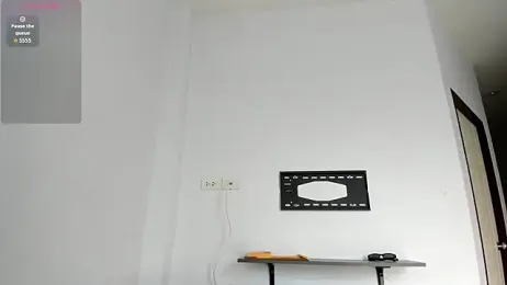 MiracleCam webcam model stream image