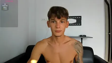 MiracleCam webcam model stream image