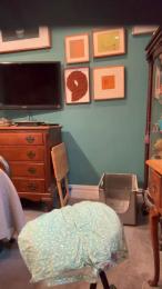 bengayNYC webcam model stream image