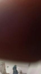 xulo40 webcam model stream image