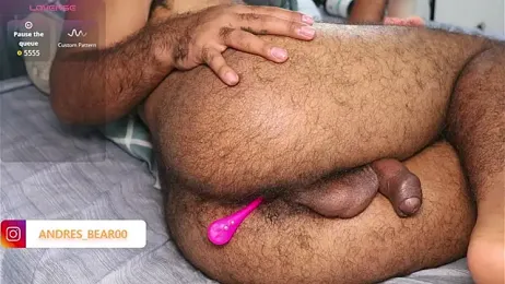 Little_Bear00 webcam model stream image