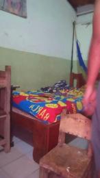 aly_pig_hot webcam model stream image