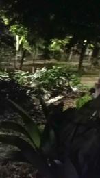 Jupiter_3333 webcam cam4 model stream image