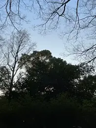 Hideen-real-face webcam model stream image