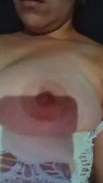 Shasol webcam model stream image