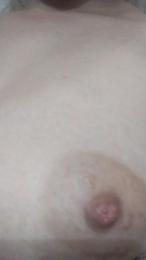 Shasol webcam model stream image