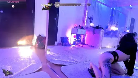 zephirahabney stripchat stream image, 19.05.2025 14:30