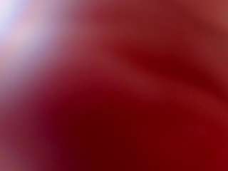 scarlett-harper camsoda stream image, 09.02.2025 08:00