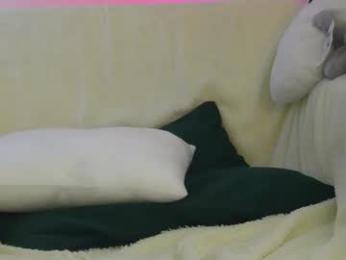shycinderella chaturbate stream image, 30.05.2025 00:50