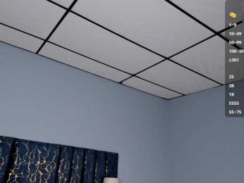 Gisell-Montoy bongacams stream image