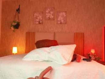 ana_maria11 chaturbate stream image, 19.06.2025 04:20