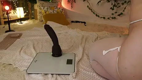 ScarletBlaze stripchat stream image