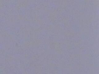 Tanya Hanks flirt4free stream image, 21.07.2025 20:40