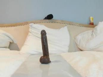 eatmygingersnapps chaturbate stream image