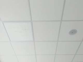 ladyhex camsoda stream image, 31.07.2025 10:30