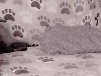 power_ranger_pink chaturbate stream image, 06.08.2025 09:40