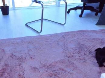 SpoilM3Mor3 bongacams stream image