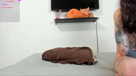 ravenousbiter stripchat stream image, 16.08.2025 16:10