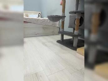 CuteKitty00 bongacams stream image, 18.08.2025 23:50