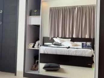 luvlivvyy chaturbate stream image