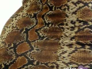 alishagoddes camsoda stream image, 04.09.2025 03:30