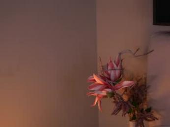 islandladies chaturbate stream image